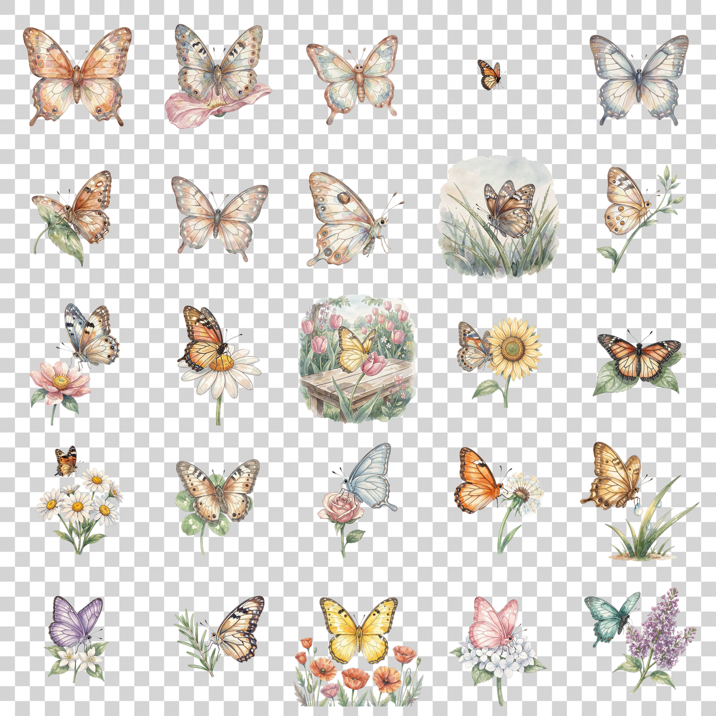 schmetterling-transparent.png