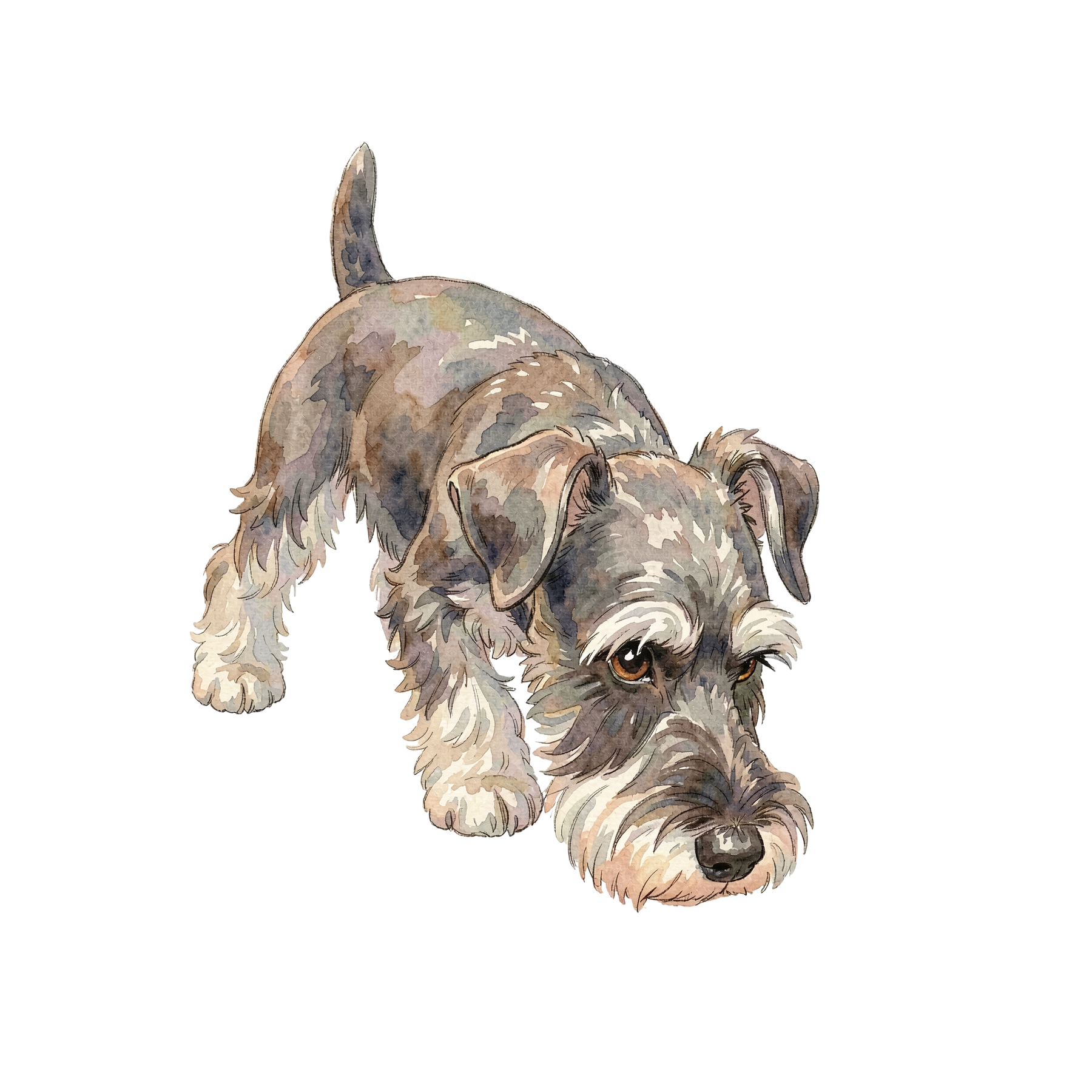 schnauzer-einzel-2.png