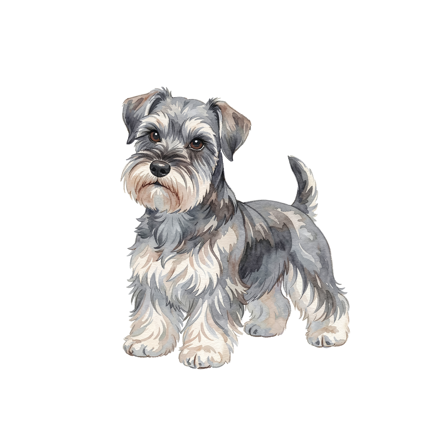 schnauzer-einzel-3.png
