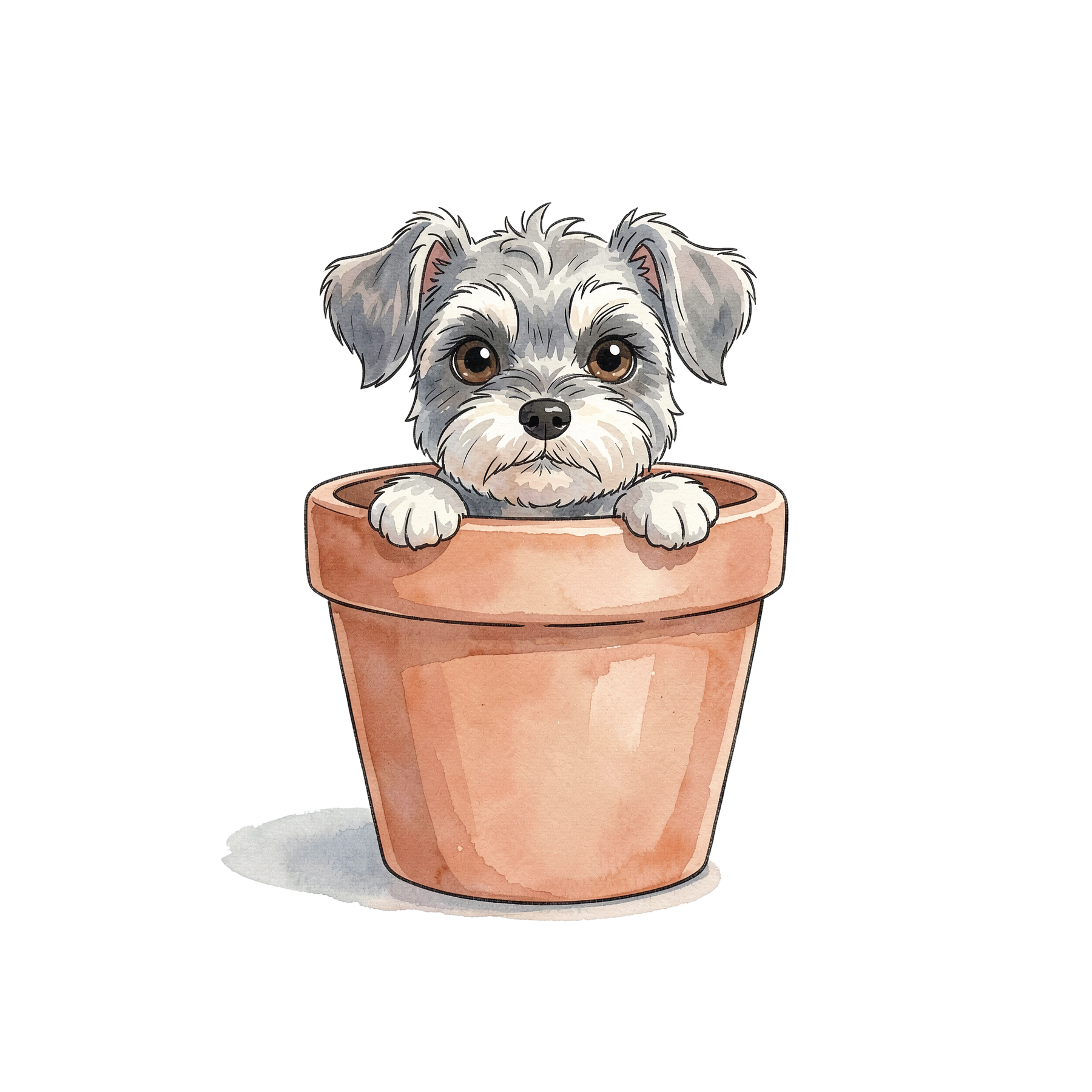 schnauzer-einzel-5.png