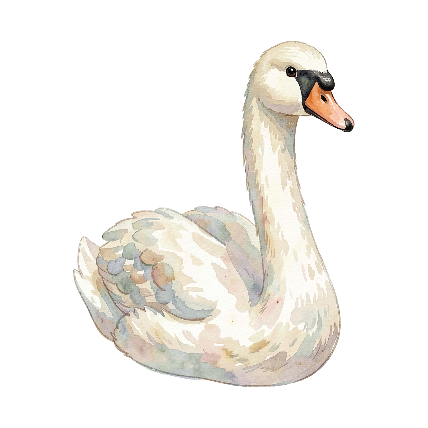 schwan-einzel-2.png