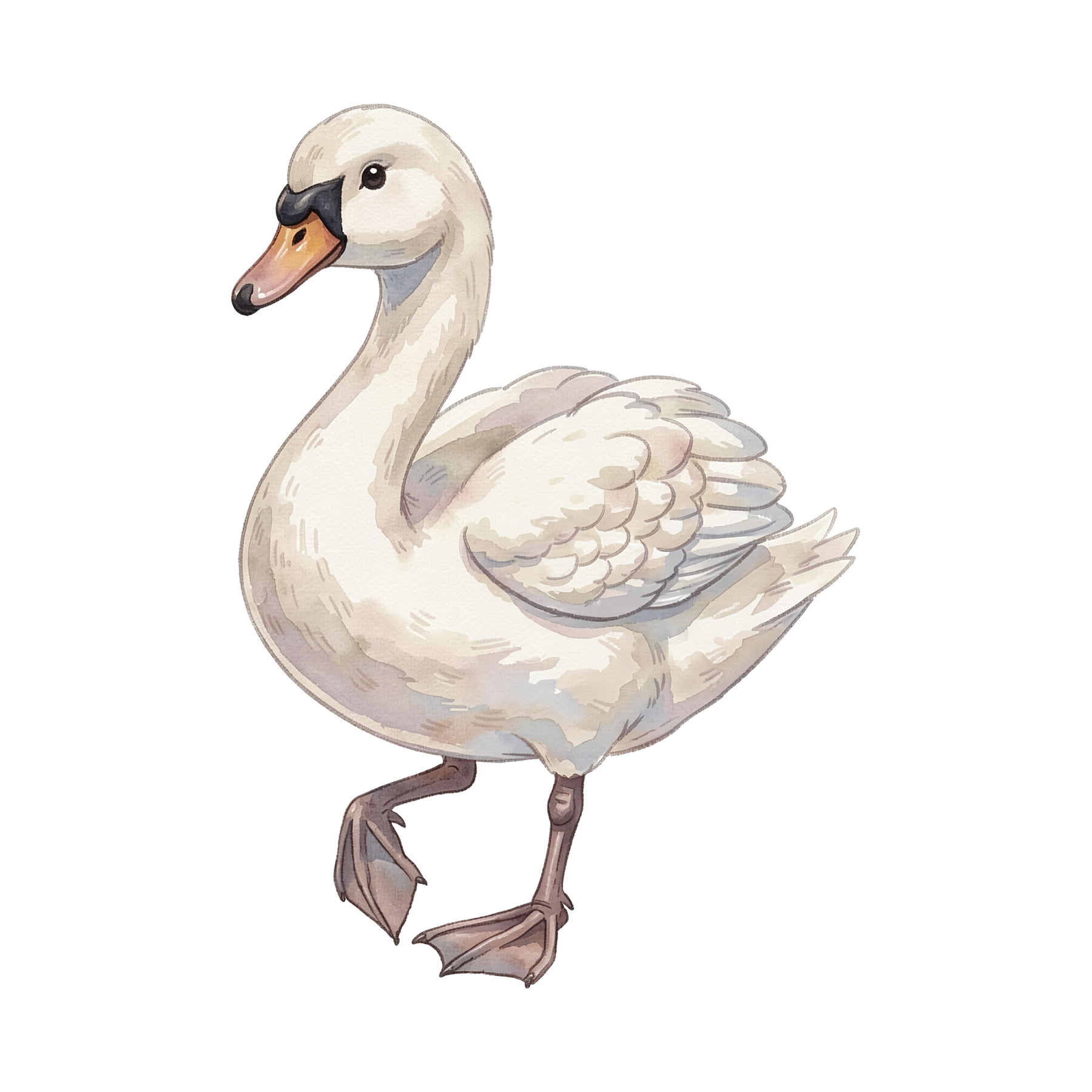 schwan-einzel-3.png