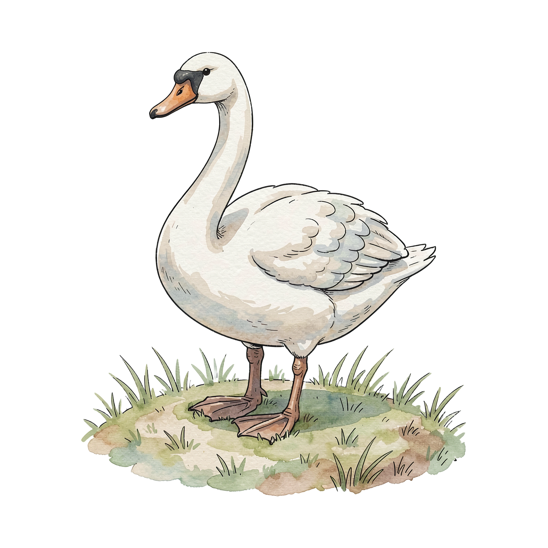 schwan-einzel-5.png
