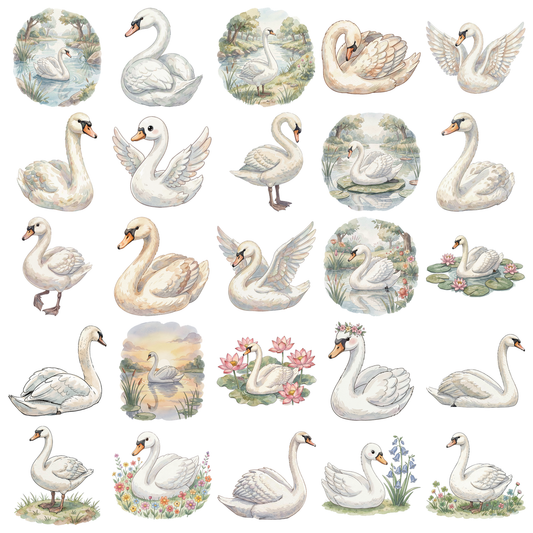 schwan-titelbild.png