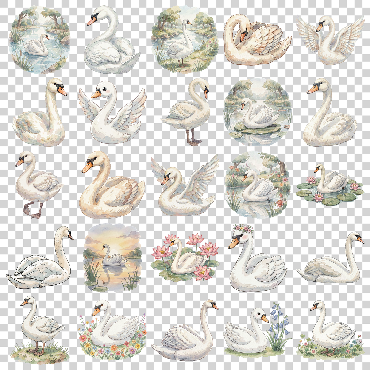 schwan-transparent.png
