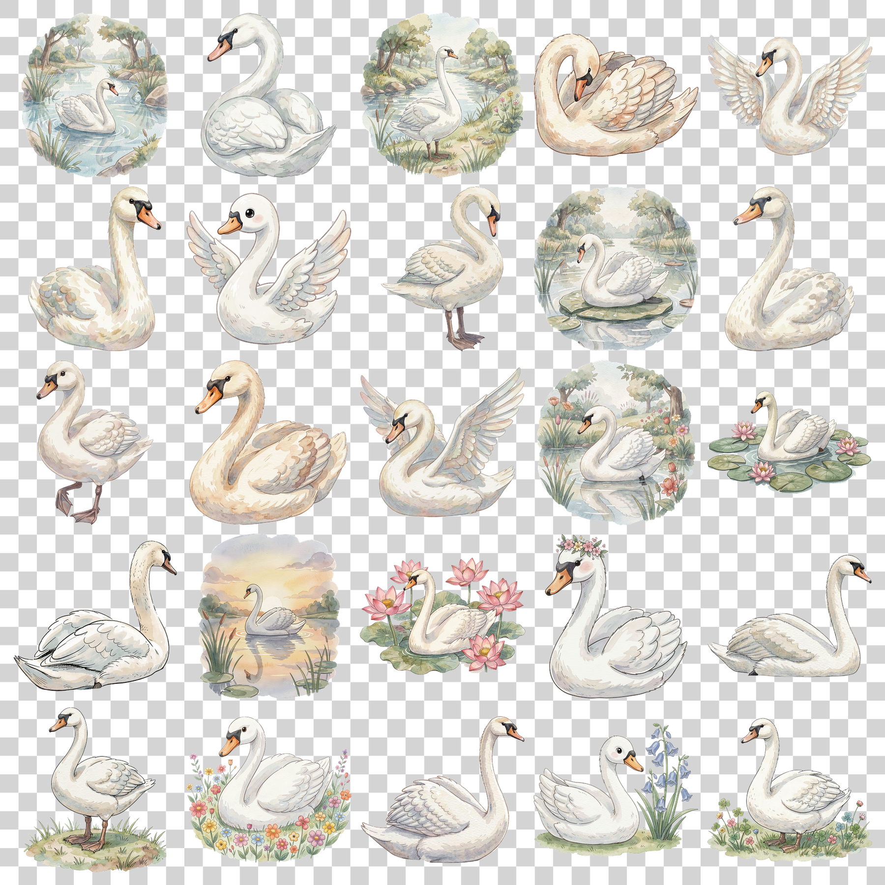 schwan-transparent.png