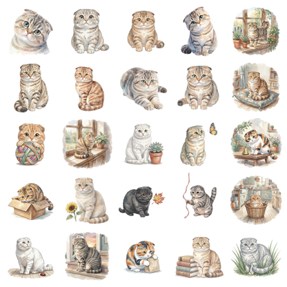 scottish-fold-katze-titelbild.png