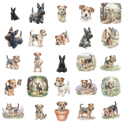 scottish-terrier-titelbild.png