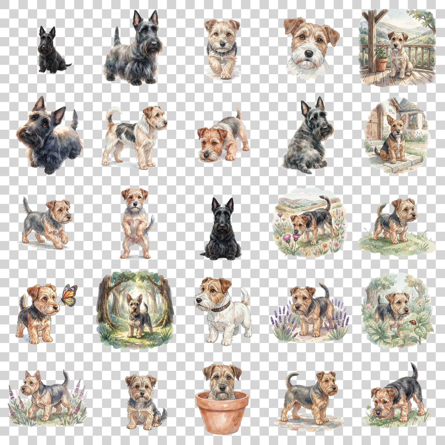 scottish-terrier-transparent.png
