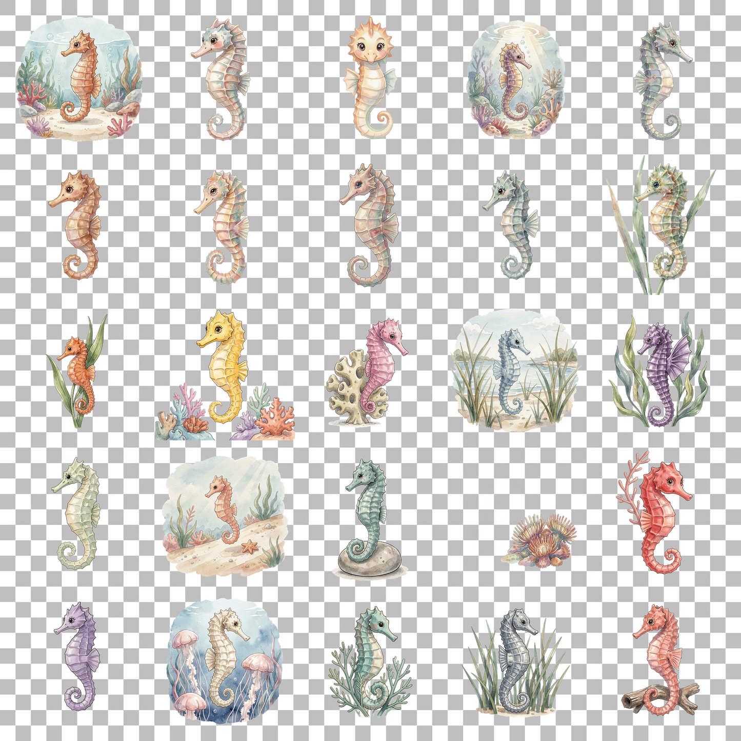 seepferdchen-transparent.png