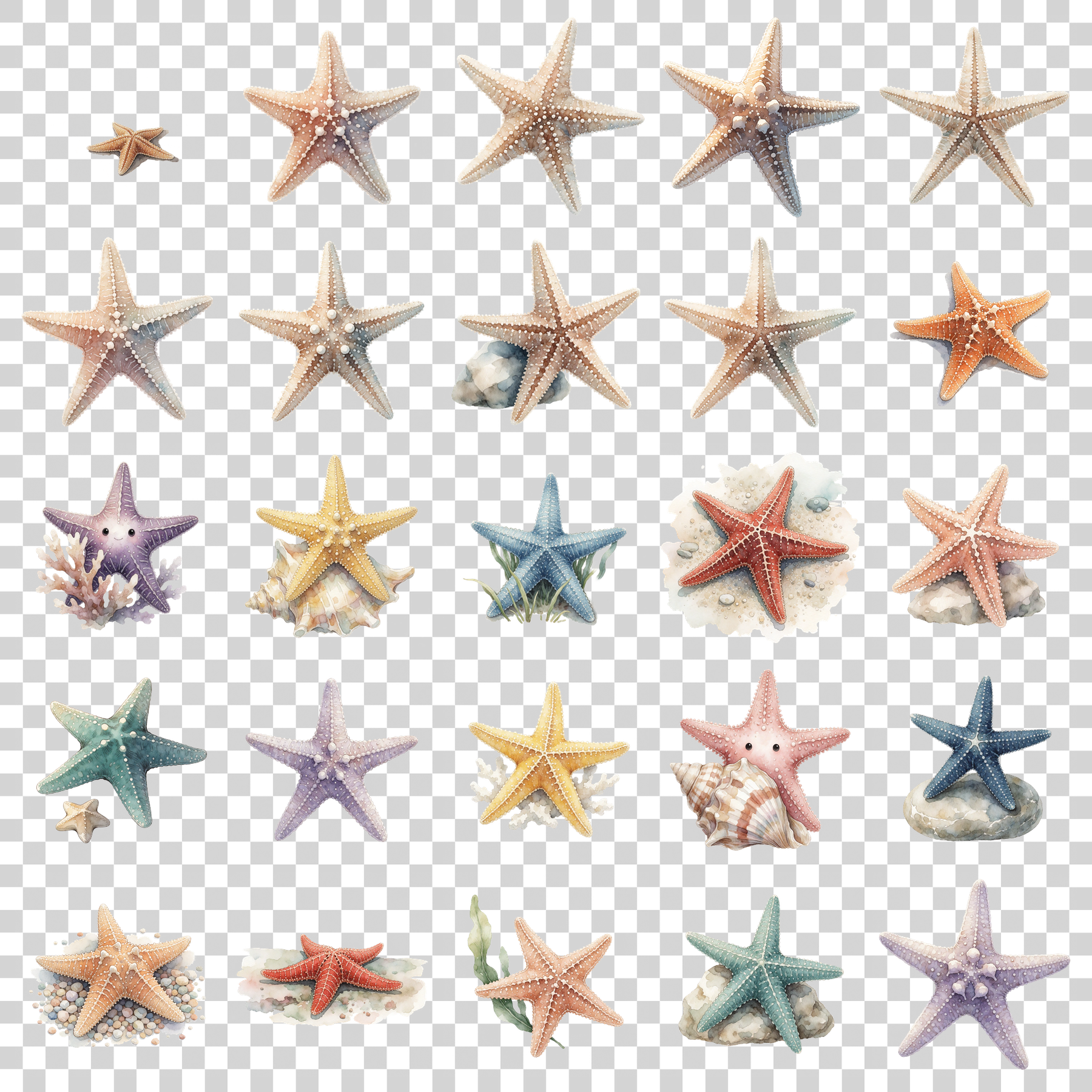 seestern-transparent.png