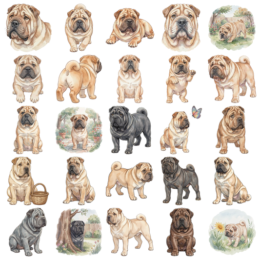 shar-pei-titelbild.png