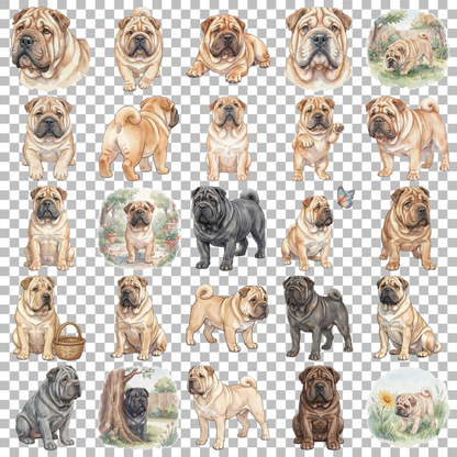 shar-pei-transparent.png