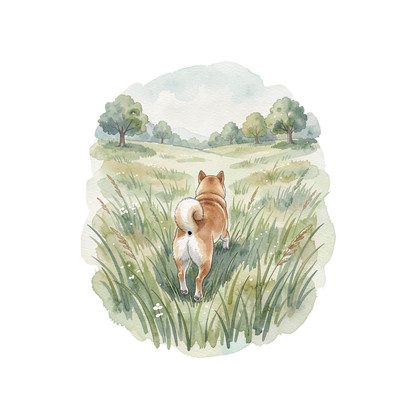 shiba-inu-einzel-5.png
