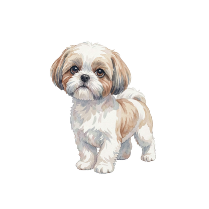 shih-tzu-einzel-2.png