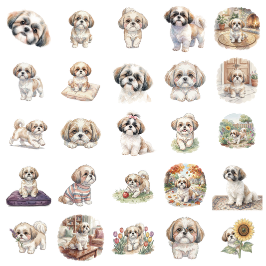 shih-tzu-titelbild.png