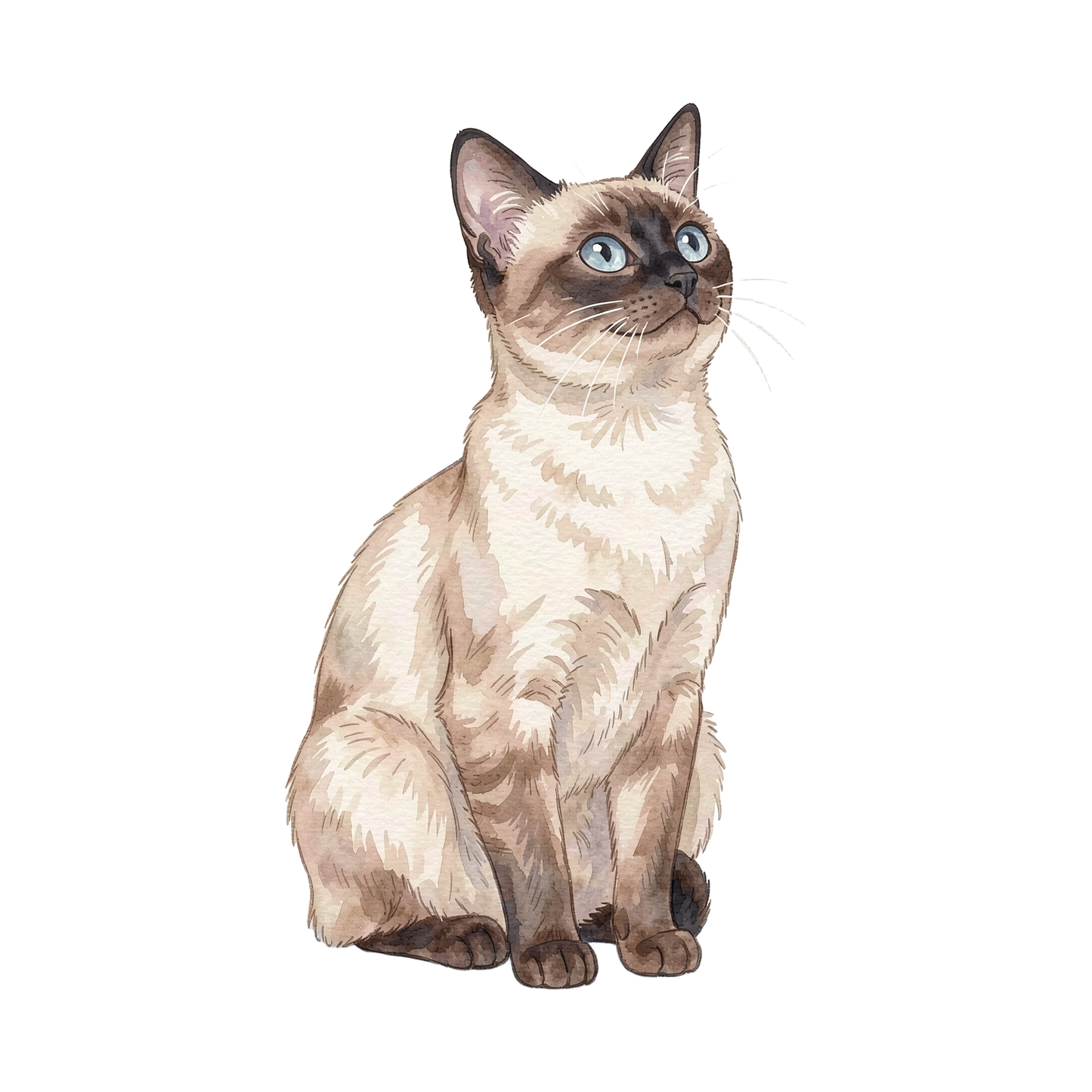 siamesenkatze-einzel-2.png