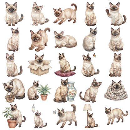 siamesenkatze-titelbild.png