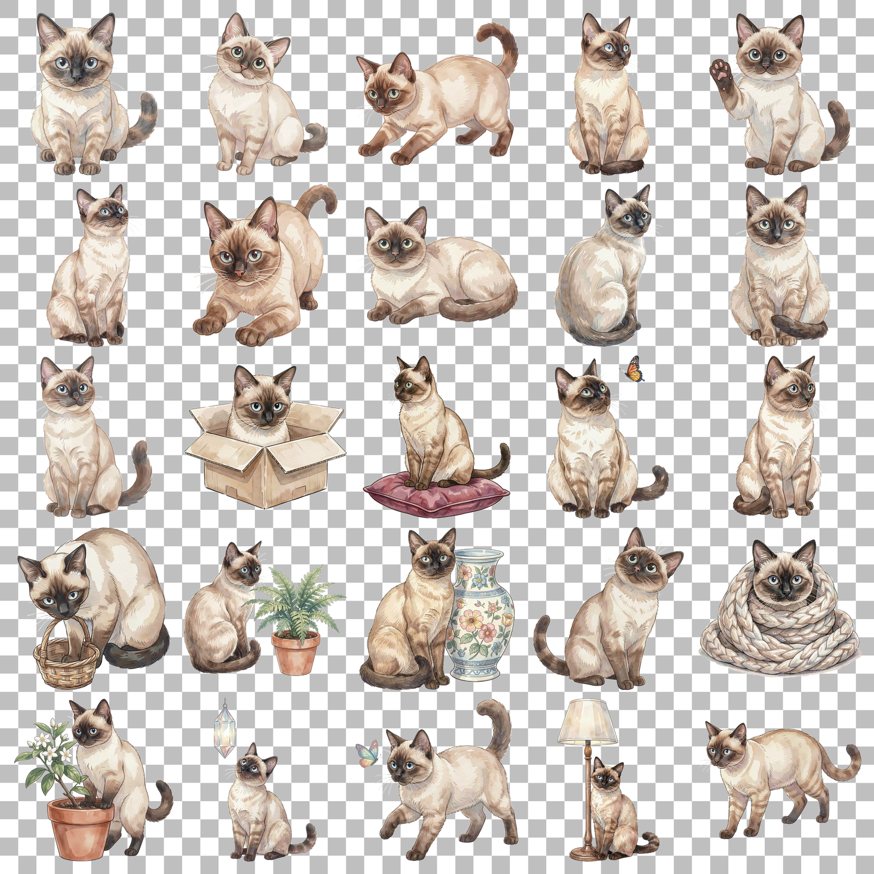 siamesenkatze-transparent.png