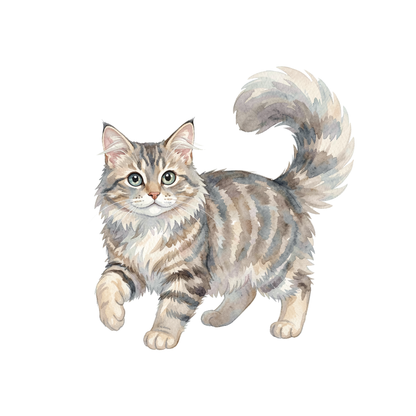 snowshoe-cat-einzel-3.png