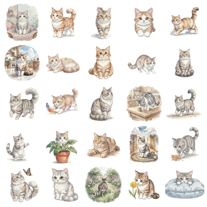 snowshoe-cat-titelbild.png