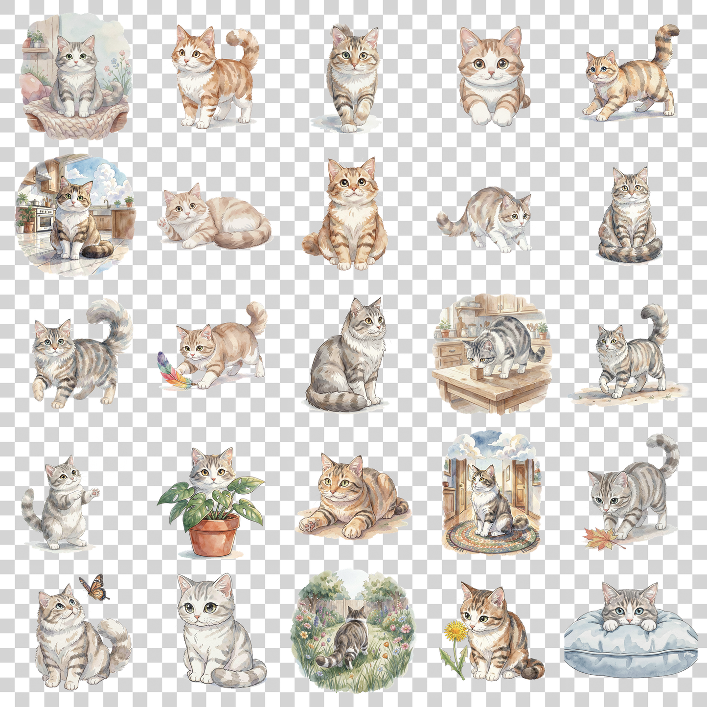 snowshoe-cat-transparent.png