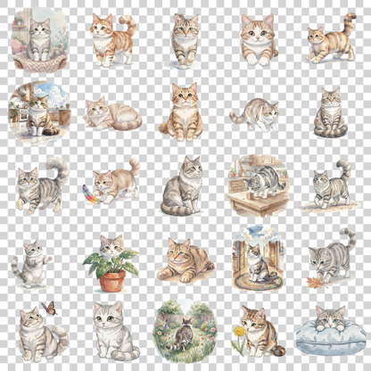 snowshoe-cat-transparent.png