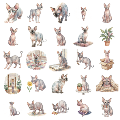 sphynx-katze-titelbild.png