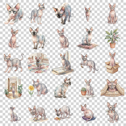 sphynx-katze-transparent.png
