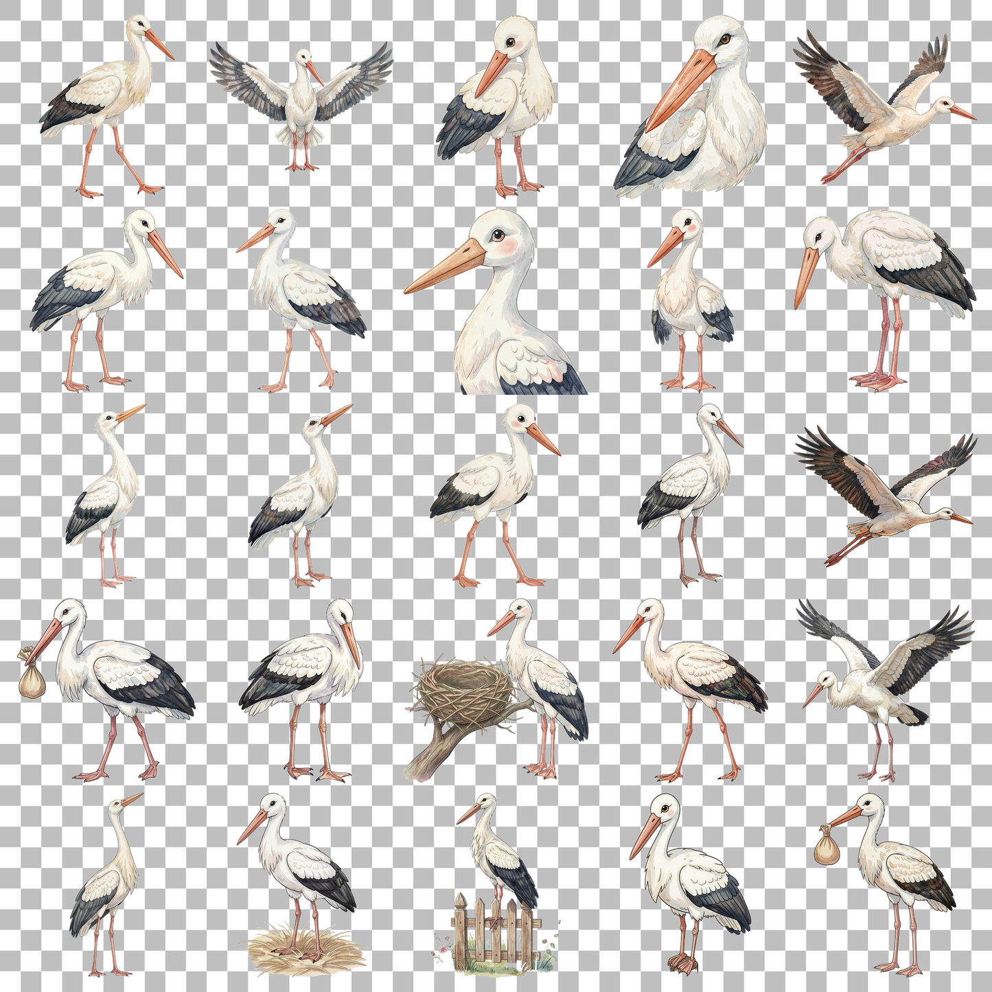 storch-transparent.png