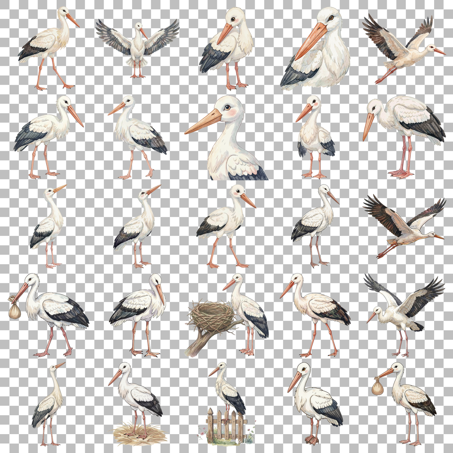storch-transparent.png