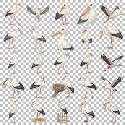 storch-transparent.png