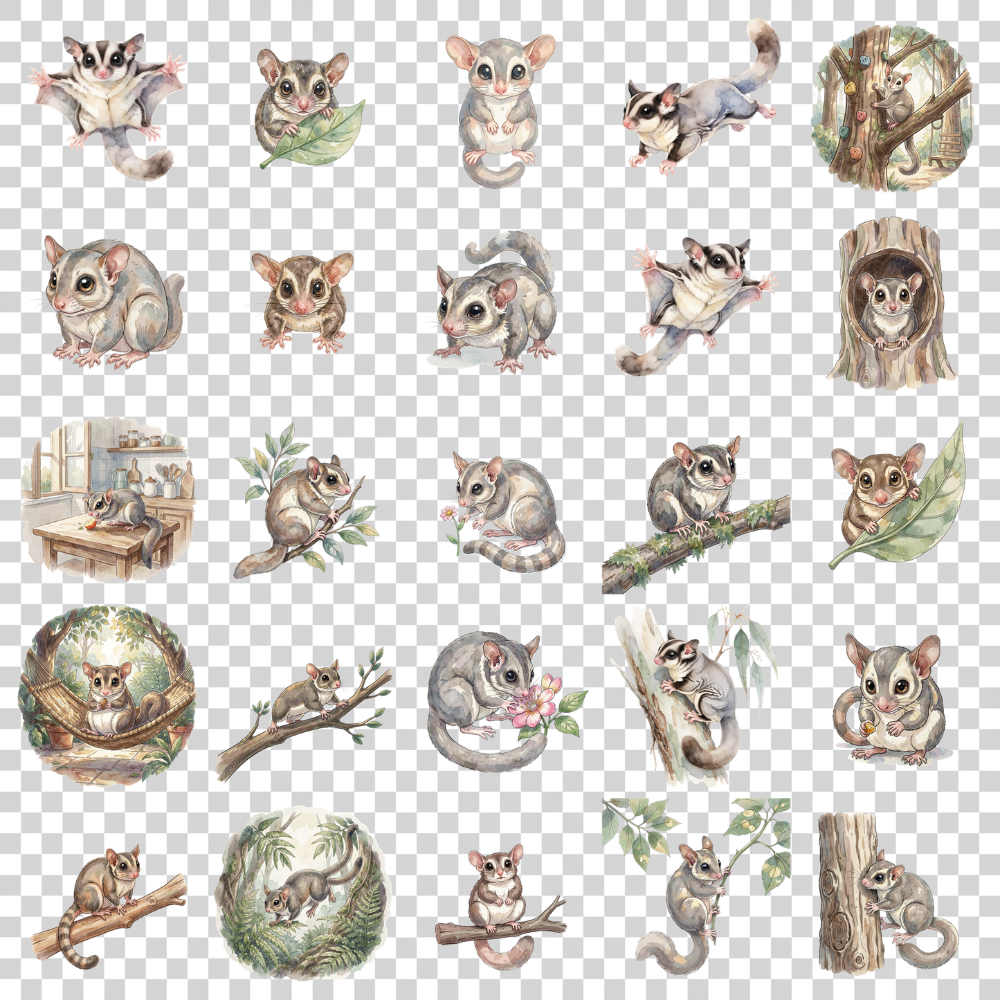 sugar-glider-transparent.png
