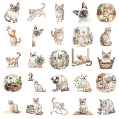 tonkinesische-katze-titelbild.png