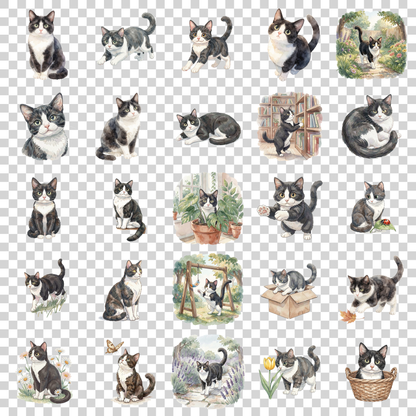 tuxedo-cat-transparent.png