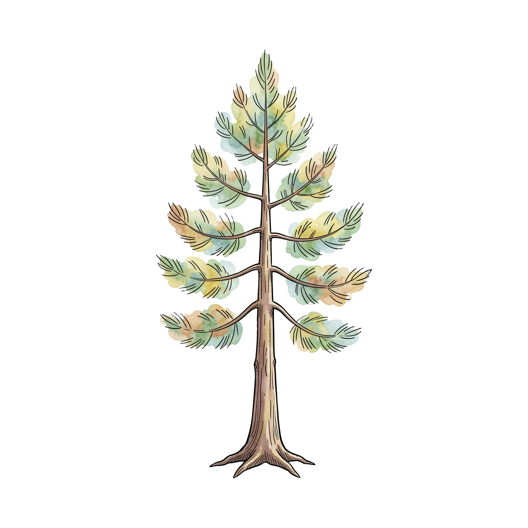 wald-einzel-1.png