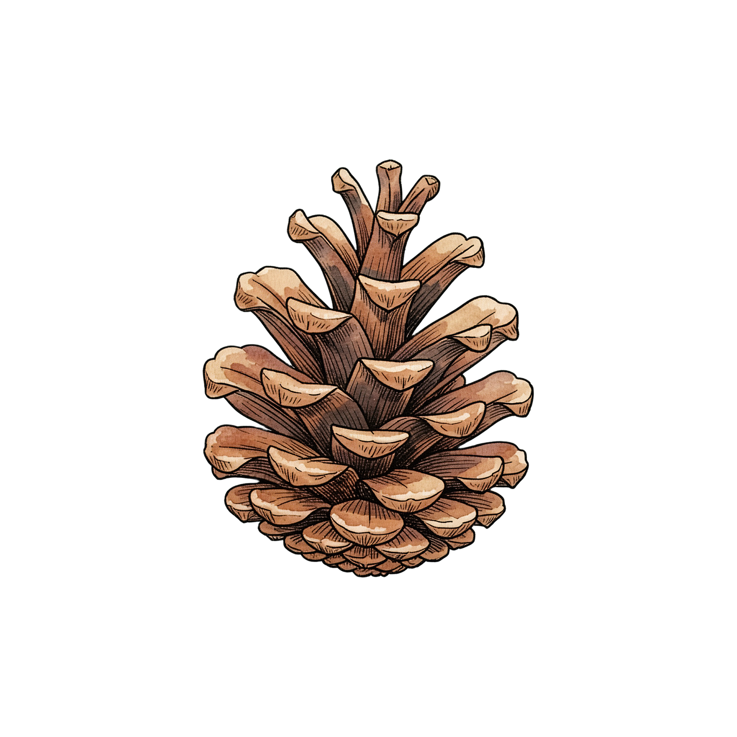 wald-einzel-2.png
