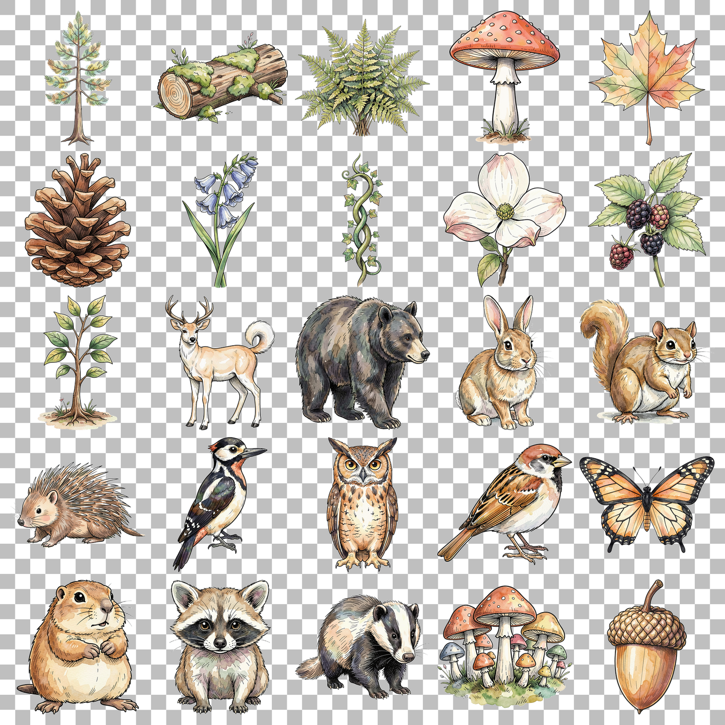wald-transparent.png