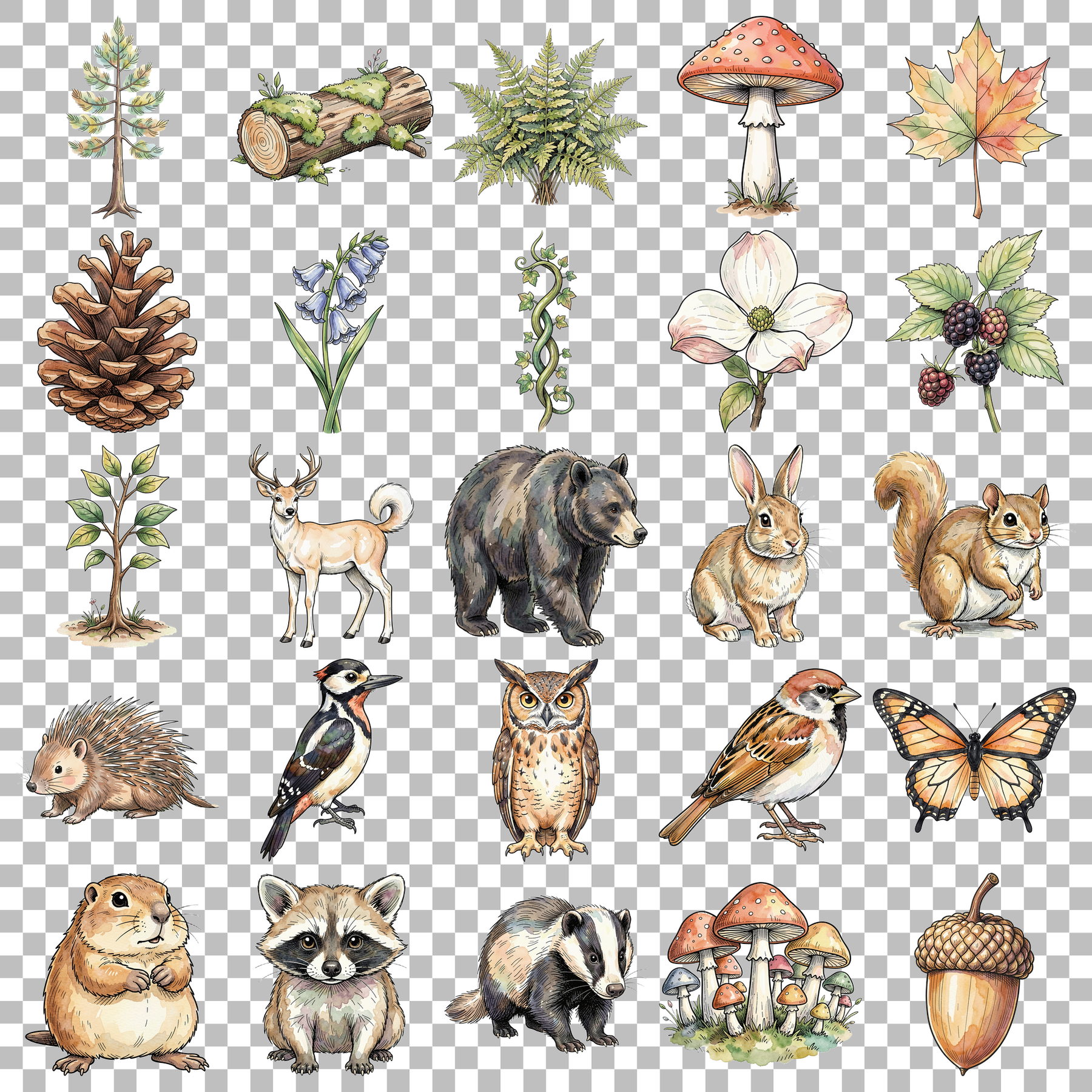 wald-transparent.png