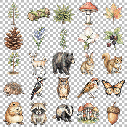 wald-transparent.png