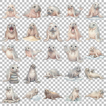 walross-transparent.png