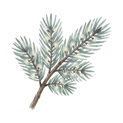 weihnachten-einzel-4.png