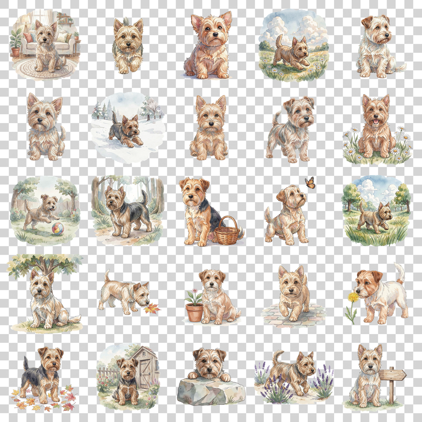 west-highland-terrier-transparent.png