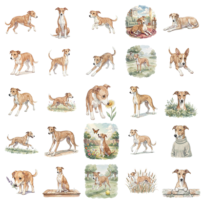 whippet-titelbild.png