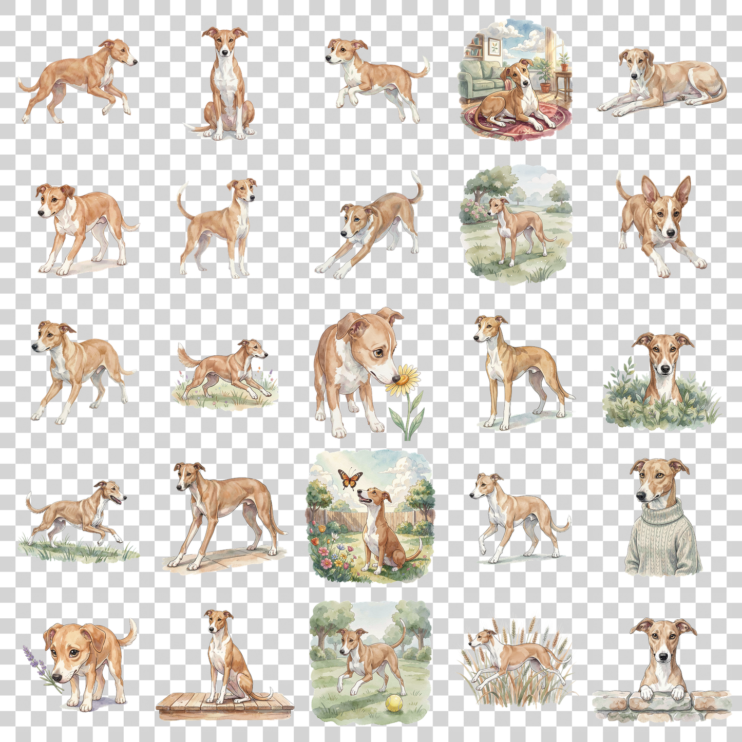 whippet-transparent.png