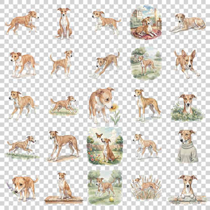 whippet-transparent.png