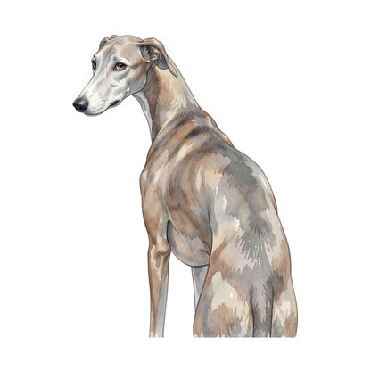 windhund-einzel-2.png