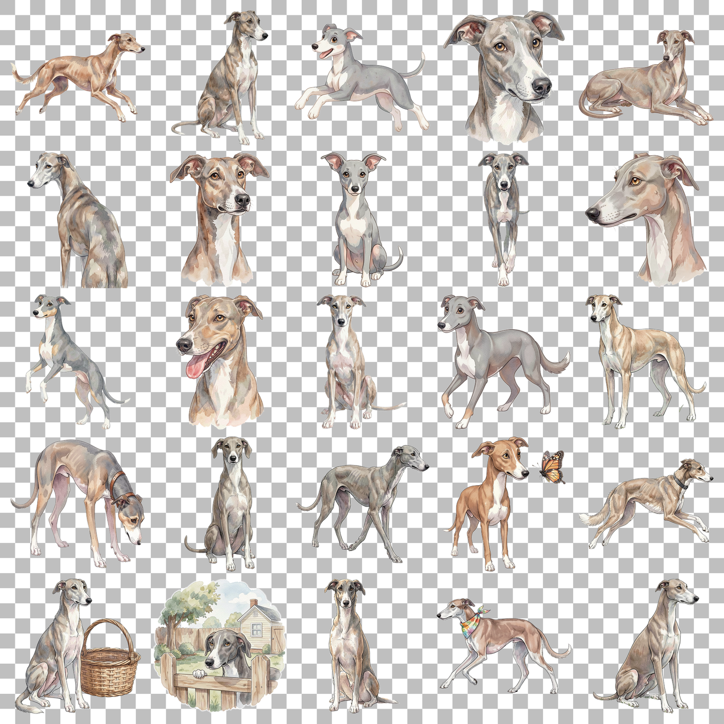 windhund-transparent.png
