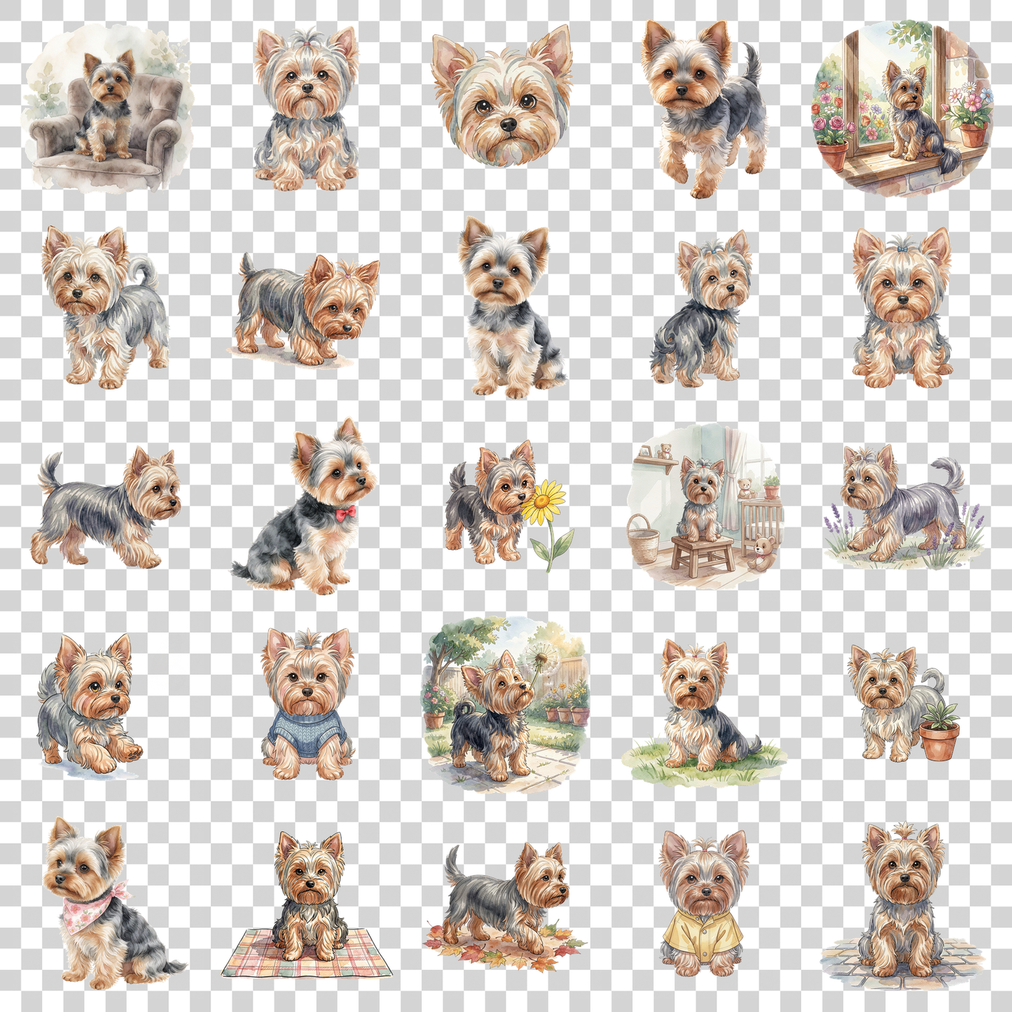 yorkshire-terrier-transparent.png