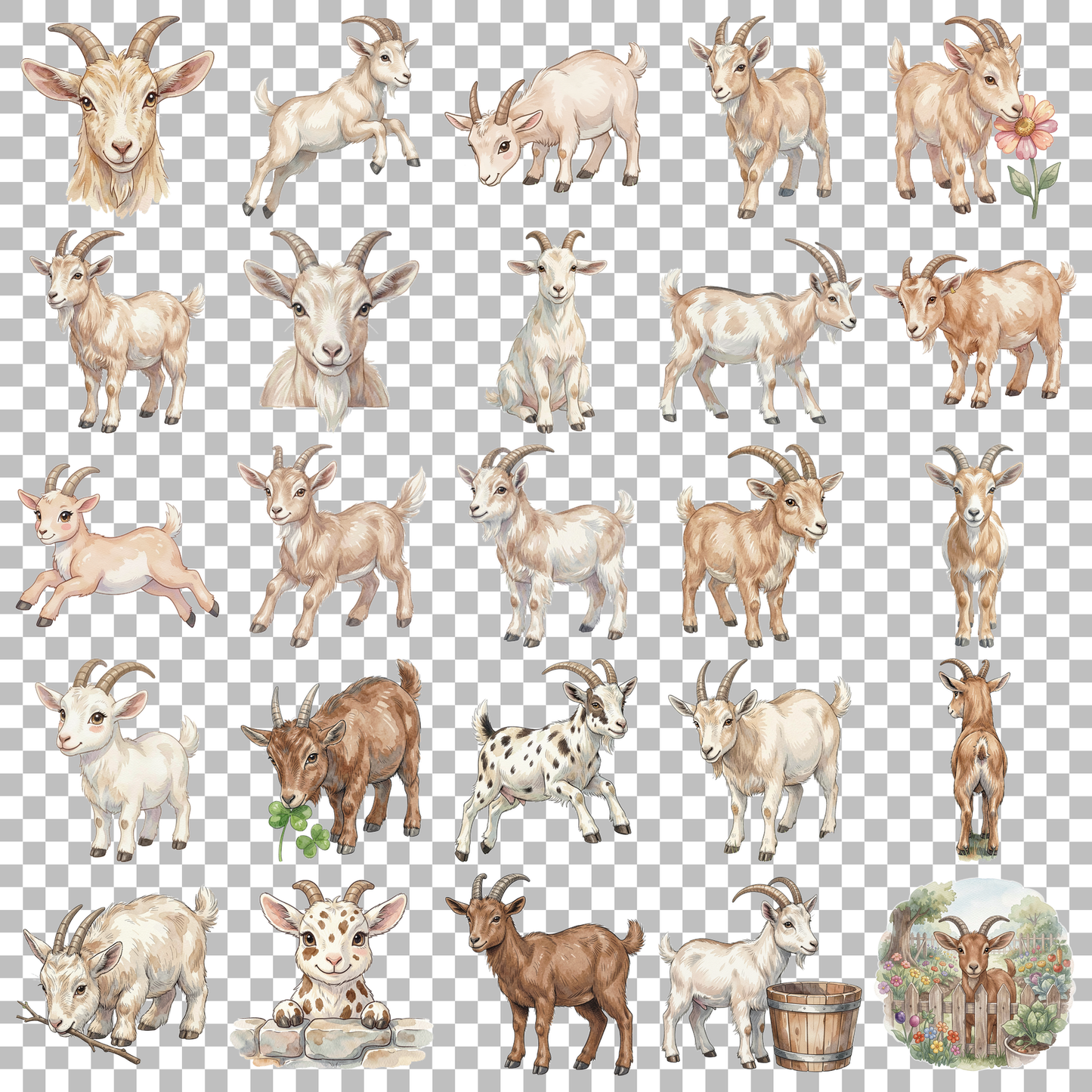 zwergziege-transparent.png